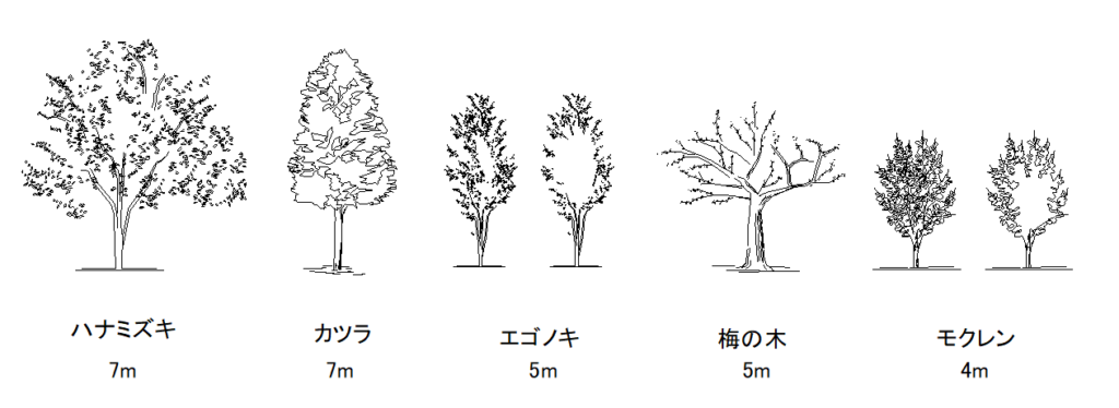 落葉高木_CAD data for Deciduous tall tree