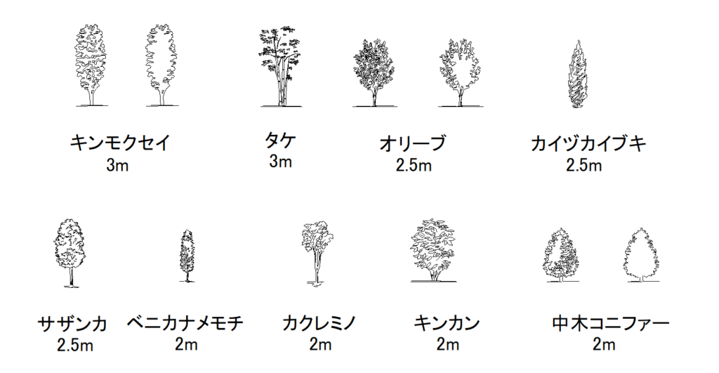 常緑中木_CAD data for Evergreen medium tree