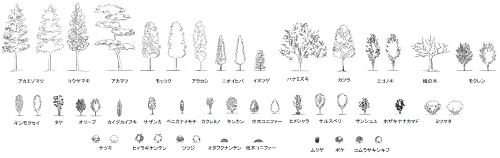 CAD図面データ-樹木・植栽