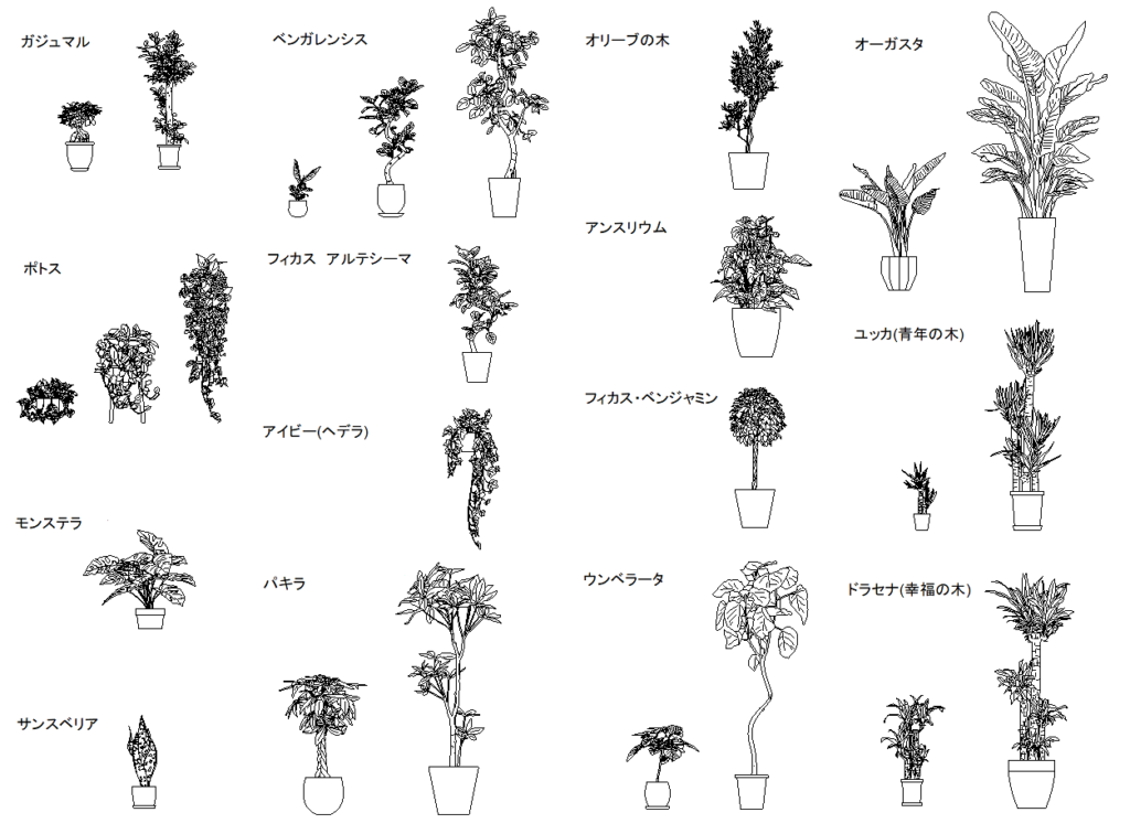 CADデータ画像-観葉植物