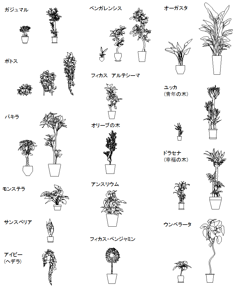 CADデータ画像-観葉植物25種類
