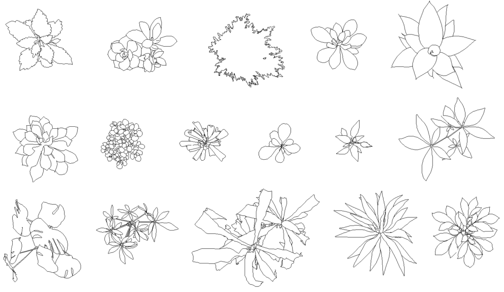 CADデータ画像-観葉植物平面図（上から）