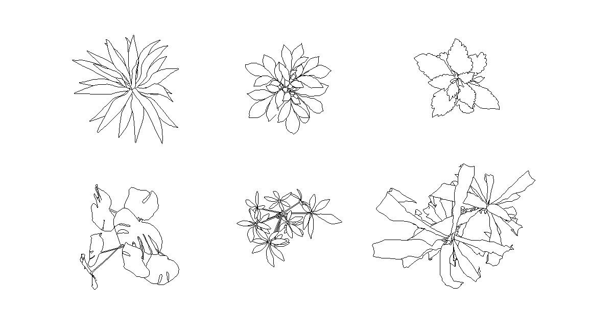 アイキャッチ-観葉植物平面図（上から）