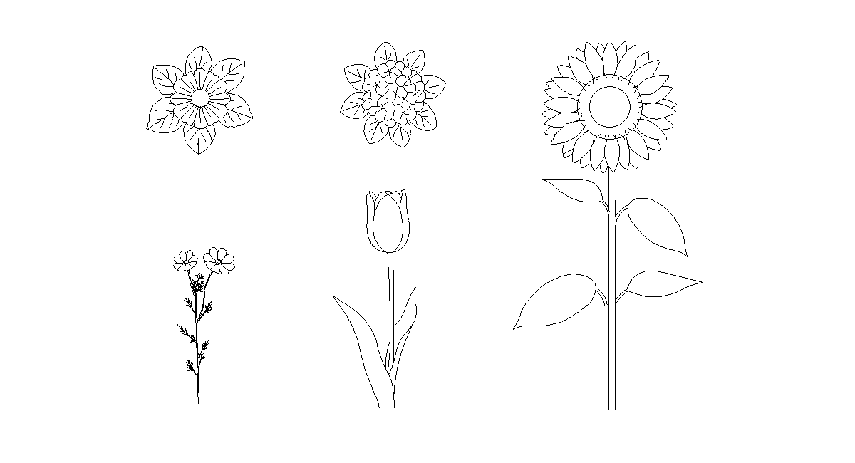 アイキャッチ-植物、花、草